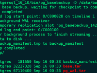 PostgreSQL教程（10）物理备份工具pg_basebackup使用教程