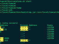 CentOS7系统下 Tomcat 安装指南