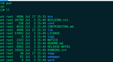 CentOS7系统下 Tomcat 安装指南