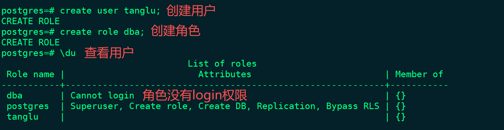 role1.png
